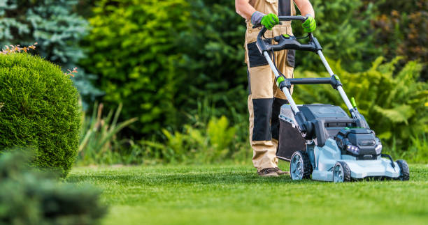 The Top 10 Under $350 Lawn Mowers You’re Missing Out On