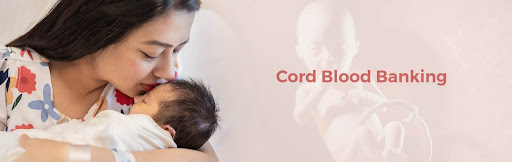 Public vs. Private Cord Blood Banking: Which Is The Best Option For Your Family?